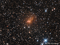 IC 10