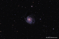 M 101