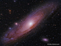 M 31