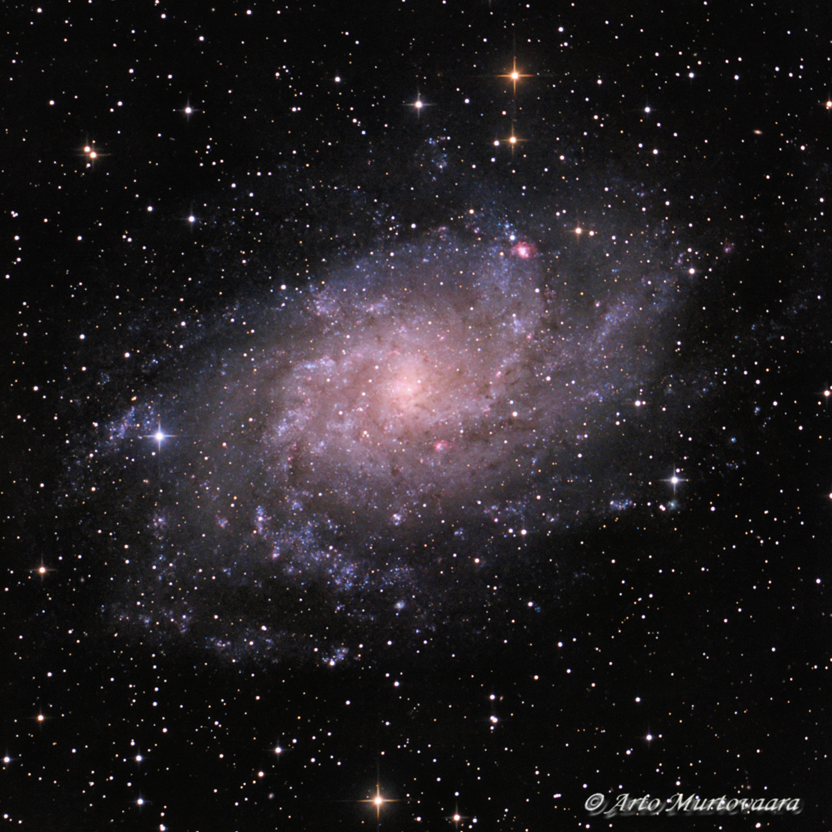 M 33