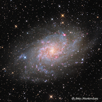 M 33