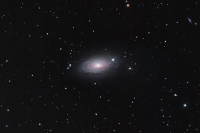 M 63