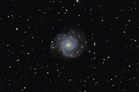 M 74