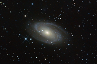 M 81