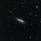 M 82