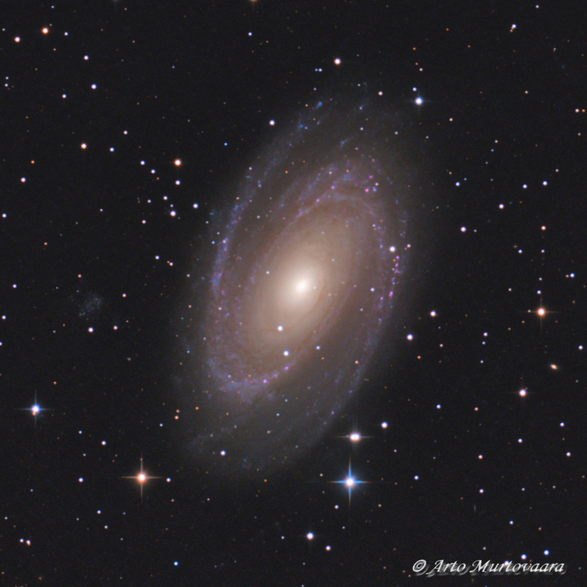 M 81