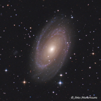  M 81