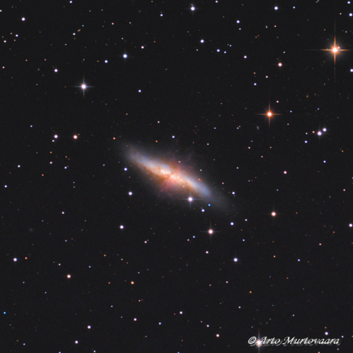 M 82