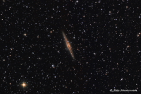 NGC 891