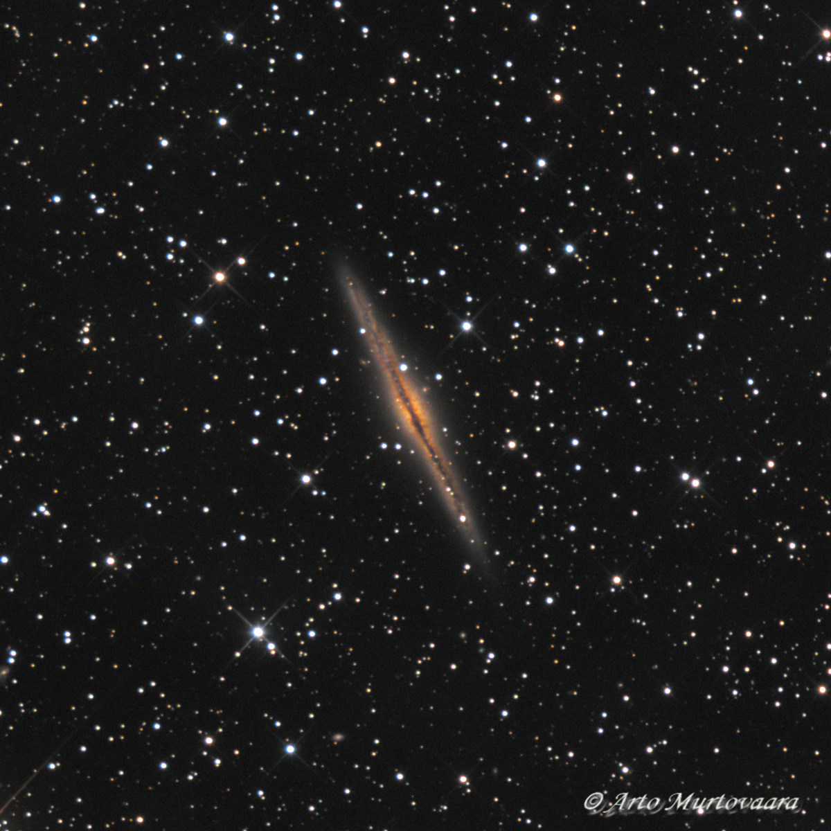 NGC 891