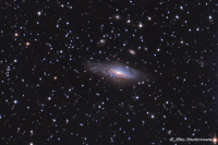 NGC 7331