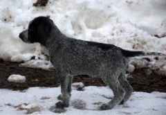 emmi3
