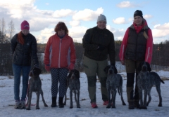 Eden, Eni, Dear Dilemma & Casku