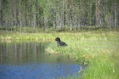 esko