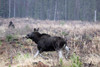 Kohtaaminen