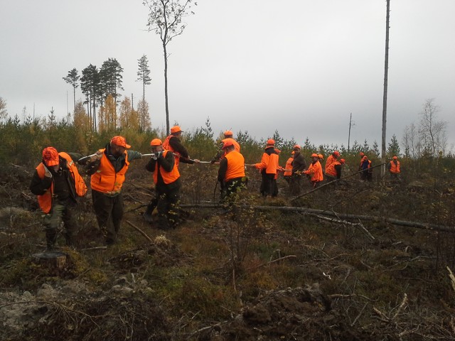 ensimmainen_kaato_syksy_2014_5 ensimmainen_kaato_syksy_2014_5