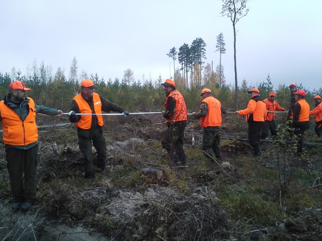 ensimmainen_kaato_syksy_2014 ensimmainen_kaato_syksy_2014
