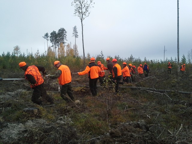 ensimmainen_kaato_syksy_2014_2 ensimmainen_kaato_syksy_2014_2