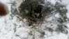kettu_04