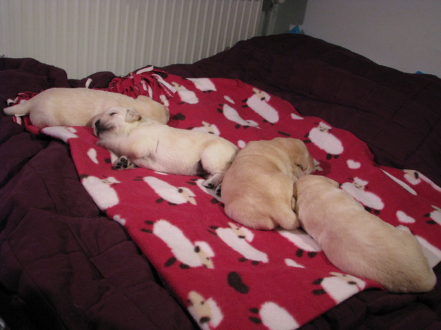 picture 577