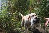 nome_vehmaa_11.8.2010_073[1]
