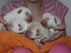 boys_2days_old
