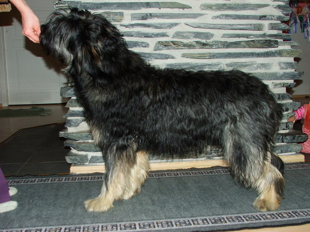 dscf2469.jpg