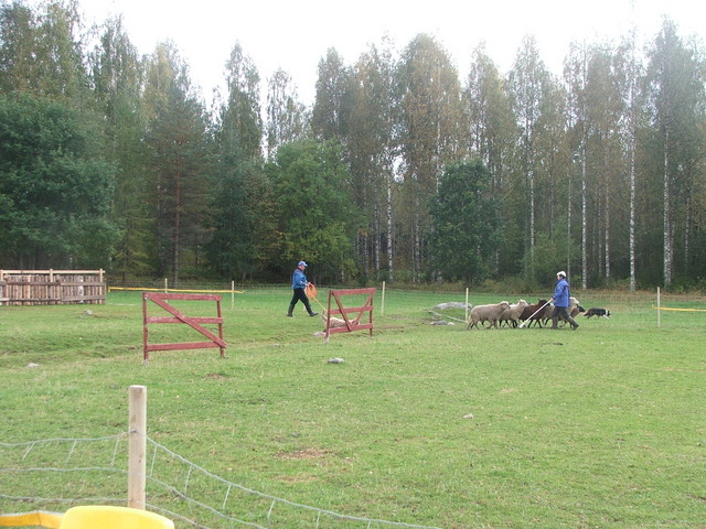 dscf1709
