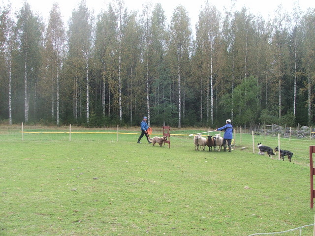 dscf1710