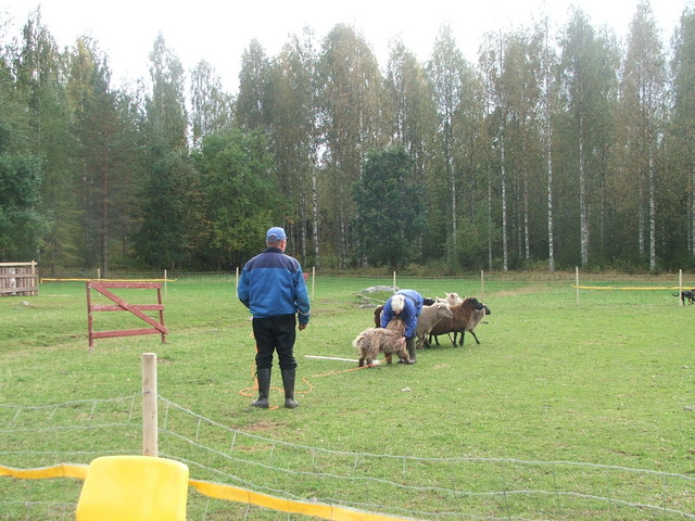 dscf1712