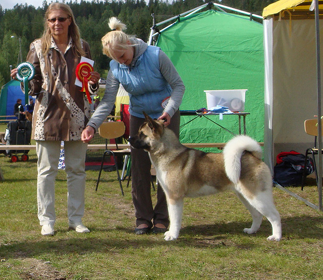 Nuppu ROP Saarij&auml;rvell&auml;