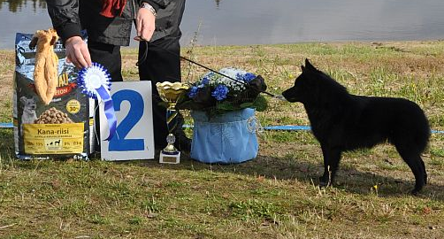 ROP ja RYP 2 Orivedell&auml; 22.9.12