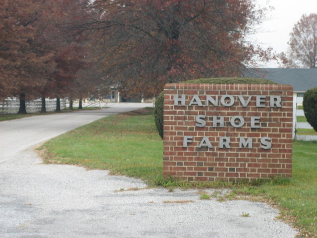 Hanover Shoe Farms
