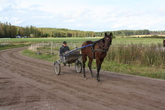 Urho ja Juha 140912