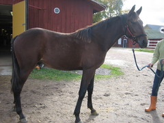 Maxx Birdland 06_10_12