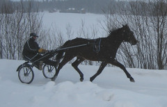 Urho lenkill&auml;1 080313