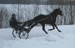 Urho lenkill&auml;2 080313