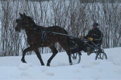 Urho lenkill&auml;3 080313