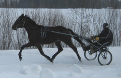 Urho lenkill&auml;4 080313