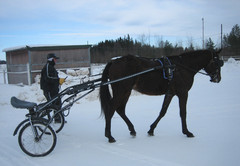 Juha ja Urho 080313