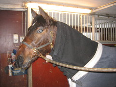 Urho Utalan tallille 080313