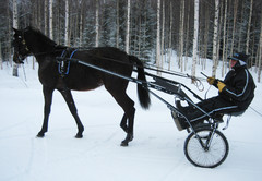 Urho lenkill&auml;5 080313