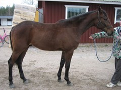 Urho 050513
