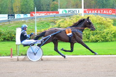 Maxx Birdland 33,5op &copy; Jenna Kentt&auml;