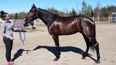 Maxx Birdland ja Marika 240414