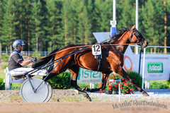 Maxx Birdland Teivossa 080714 (c) Mirella Ruotsalainen