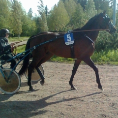 Maxx "Urho" Birdland 040615_jokimaalla