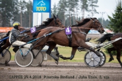 Plisetska Birdland / Juha Utala 2018-04-29 (c) Seppo Toivari