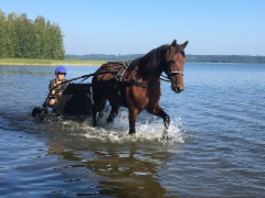 Plisetska Birdland ja hoitaja Tiina