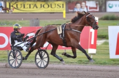 Plisetska Birdland Derby-karsinnassa (c) Kaisa Steng&aring;rd